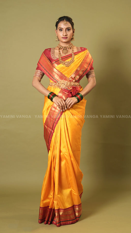Elegant Kanchipuram  Saree