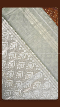 Elegant White Floral Organza Saree