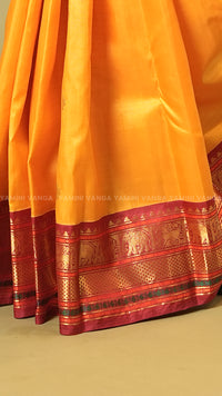 Elegant Kanchipuram  Saree